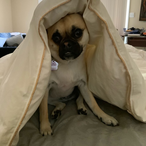 Meet your Posher, Lisa - Picture 9 of 10